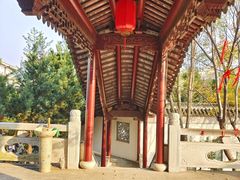 -八大山人梅湖景区
