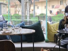 -the rug 飞毯 (朝阳公园店)