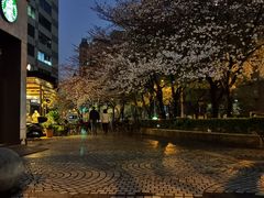 -玛格萝妮比萨屋(四平店)