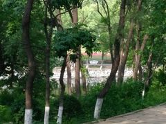 山间绿树环抱-高尔山公园