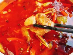 -陈麻婆豆腐总店