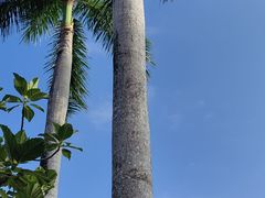 -三亚海棠湾万丽度假酒店