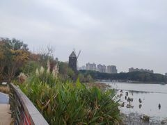 -昆山城市生态森林公园