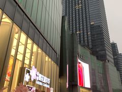 -金茂览秀城