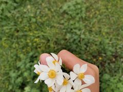 -小渠子旅游区