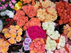 -双季花艺园艺市场(浦东店)