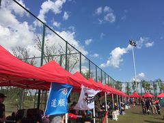 -春花秋色城市公园