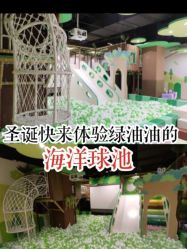 -绿野星空儿童乐园