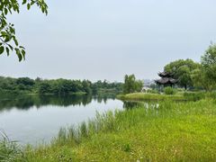 -眉山湿地公园(东坡区)