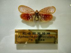 -上海昆虫博物馆