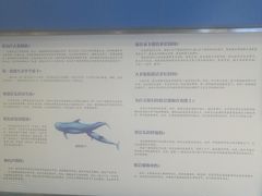 -上海海洋大学鱼文化博物馆(军工路校区)