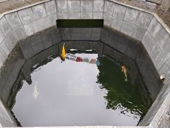 -西安市广仁寺