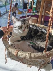 -萌宠亲子动物乐园(槐房万达店)