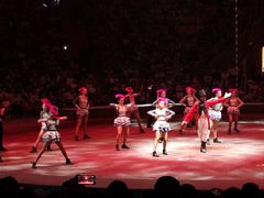 -俄罗斯国家大马戏团