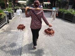 -泡桐树街