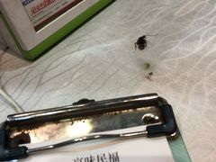-京味民福烤鸭店(建设四马路店)