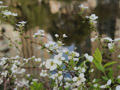 -西北湖绿化广场