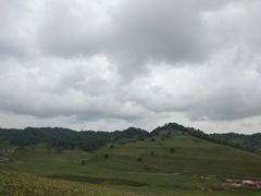 -关山草原