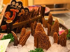 -季季山·云南野生菌火锅(上海首店)