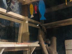 游乐设施-猫咪博物馆(顶澳仔猫街店)