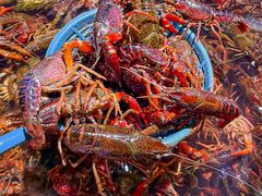 -聚盛源蒸汽海鲜火锅烤肉自助(巨川金海岸购物广场店)