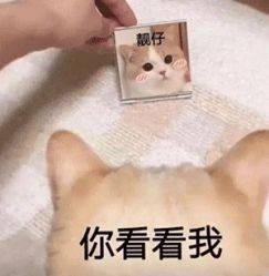 -LESSMORE科技头皮理容中心