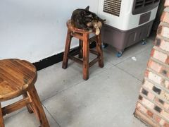 -马打滚