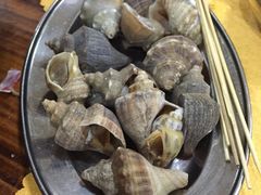 螺-蚝专家(北滘店)