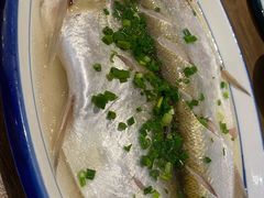清蒸鲜白鱼-锡和无锡菜(景丽苑店)