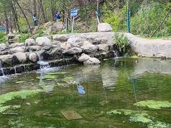 -白水寺森林公园