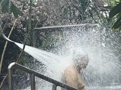 -北京瑞麟湾温泉度假酒店