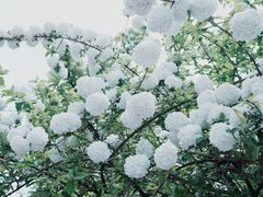 -武汉市园林科普公园