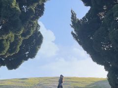 -小麦岛公园
