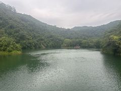 -鼎湖山风景区
