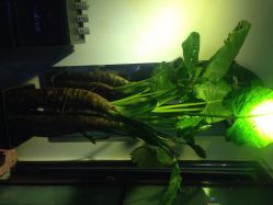 KINO SALON崎诺日式烫染无痕接发专门店(旗舰店)-KINO SALON崎诺日式美发造型沙龙