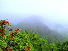 -滴水洞景区