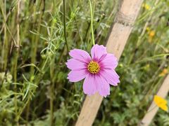 -木洞河街