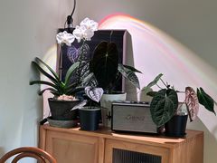 -本無咖啡·BeanWood Coffee