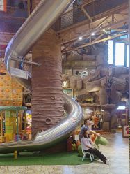 -卡通尼·Safari非洲探索乐园·生日会(金桥国际商业广场店)