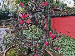 -成都武侯祠博物馆