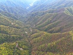 -牛背梁国家森林公园