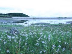 -玉湖村