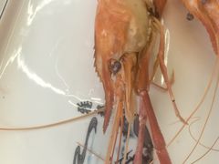 -七的湖·晚芳亭·阳澄湖农家菜·大闸蟹(莲花岛店)