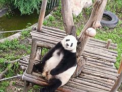 -沈阳森林动物园
