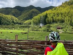 -楠溪江风景名胜区