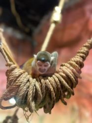 -Zoolung Zoolung动物主题公园(海信广场店)