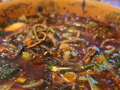 -乐山第一家临江鳝丝(茶坊路店)