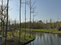 -溱湖国家湿地公园