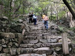 -北京鹫峰国家森林公园