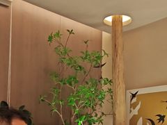 -单家老院·院子里的青岛菜(沙子口店)